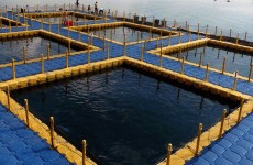 fish-farm